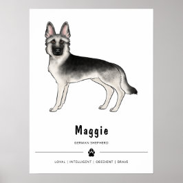 Poster Cão Pastor Alemão Sable Prata e Texto Personalizad