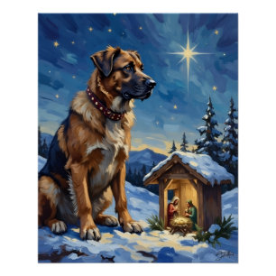 Pôster Cão Pastor da Anatólia Guardando Cena de Natal