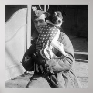 Poster Cão patriótico, 1900s adiantados