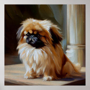 Poster Cão Pekingese
