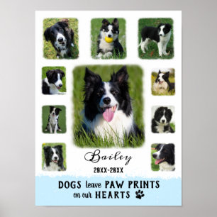 Poster Cão Personalizado Colagem de Fotografias Desbotad