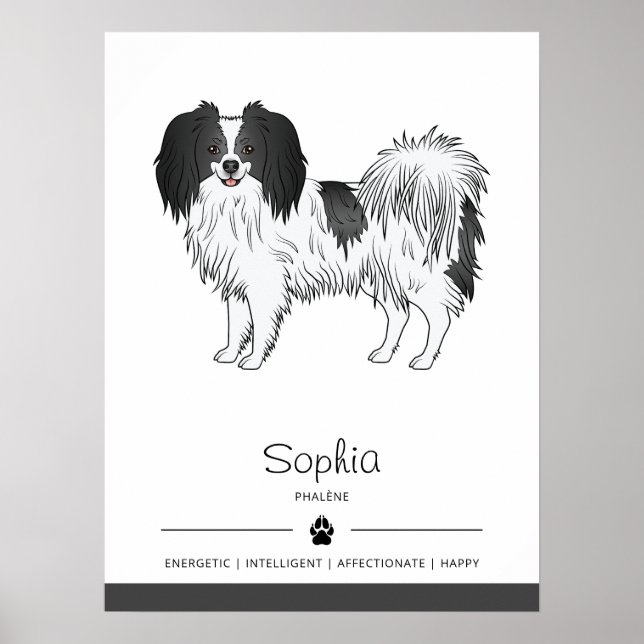 Poster Cão Phalène Preto E Branco Com Nome Próprio (Frente)