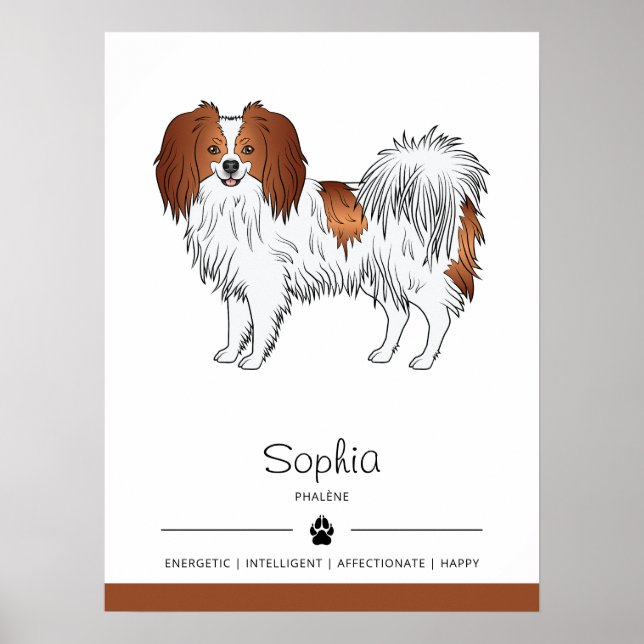 Poster Cão Phalène Vermelho e Branco Com o Nome do Animal (Frente)