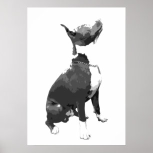 Poster Cão preto e branco na moda do pitbull