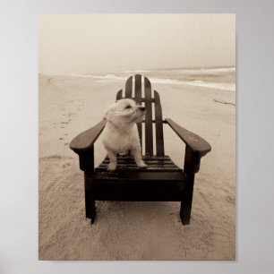 Poster Cão que aprecia a praia