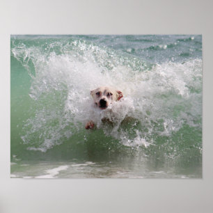 Poster Cão que funciona através da onda de oceano, surf