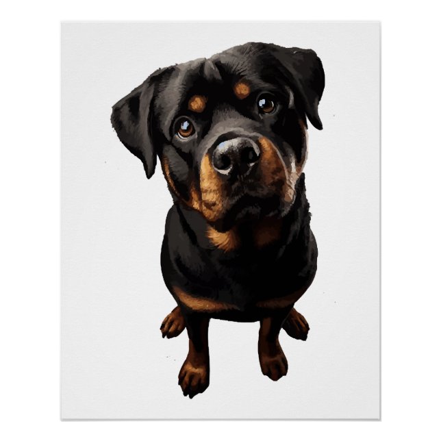 Pôster cão rottweiler (Frente)