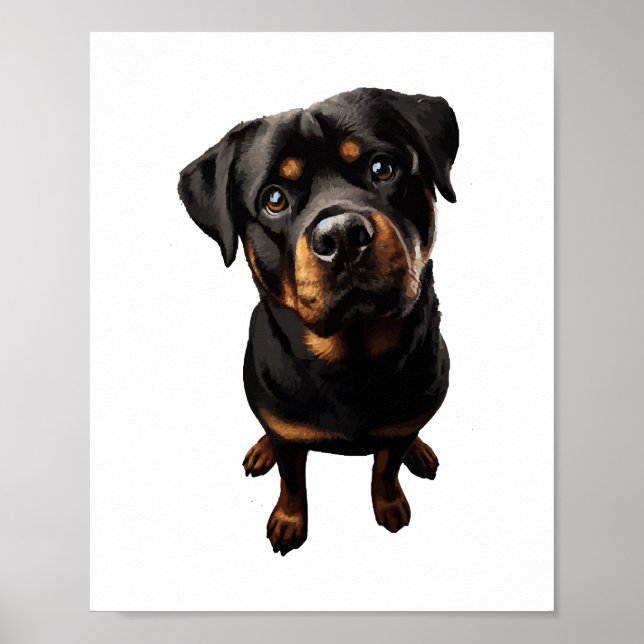 Poster cão rottweiler (Frente)