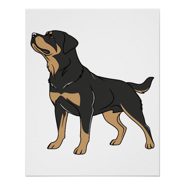 Pôster Cão Rottweiler, Cão Rottweiler em Pé (Frente)