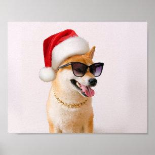 Poster Cão Shiba Inu em Papai Noel chapéus vermelhos