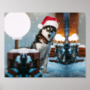 Poster Cão Siberiano Husky vestindo chapéu Santa