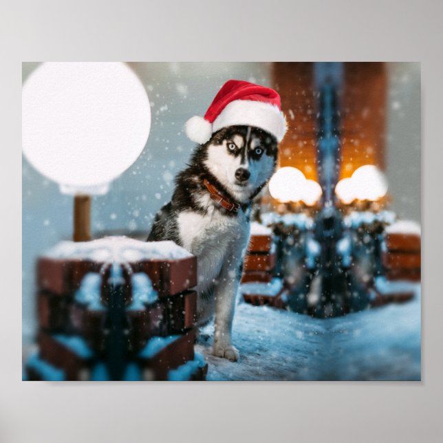 Poster Cão Siberiano Husky vestindo chapéu Santa (Frente)