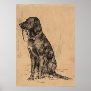 Pôster Cão só que guardara sua própria trela, tinta da