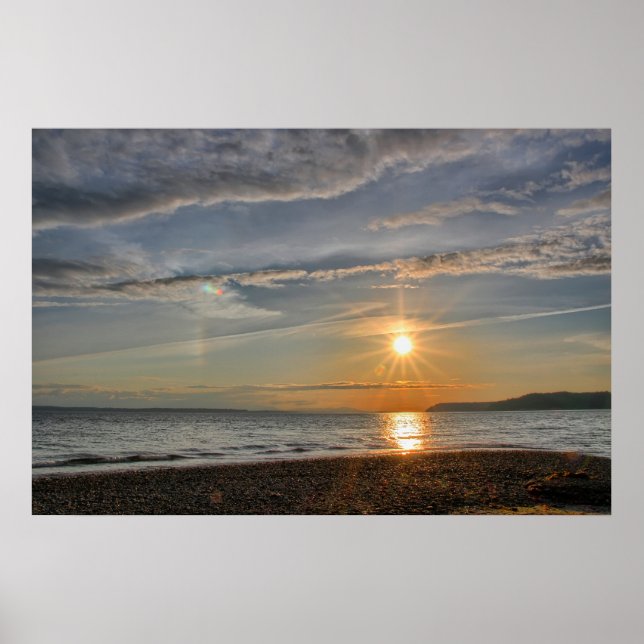 Poster Cão Sol (Frente)