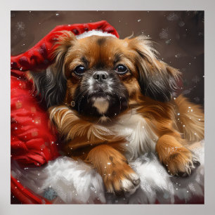 Poster Cão Spaniel Tibetano Natal Festivo