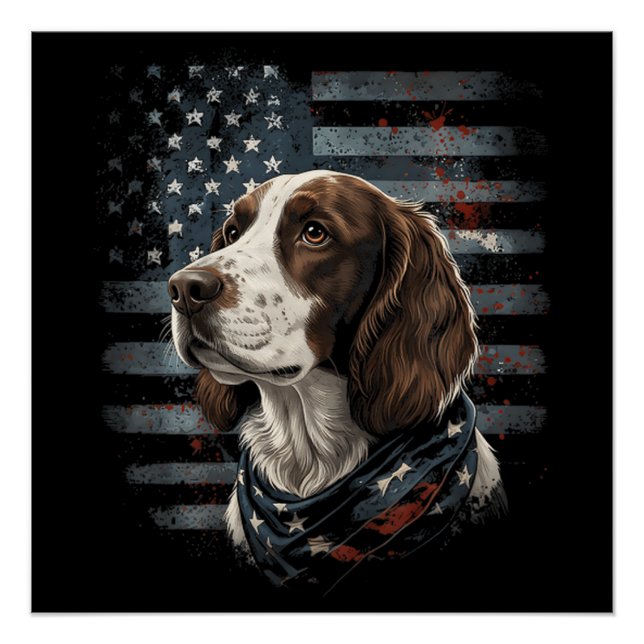 Pôster Cão Springer Spaniel Bandeira Americana (Frente)