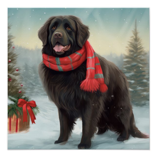 Pôster Cão Terra-Nova na Neve Natal (Frente)
