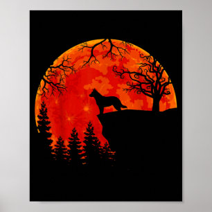 Poster Cão Tosa Australiano E Halloween Da Lua
