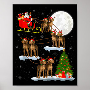 Poster Cão Vizsla Papai Noel Trenó Voador Divertido Mágic