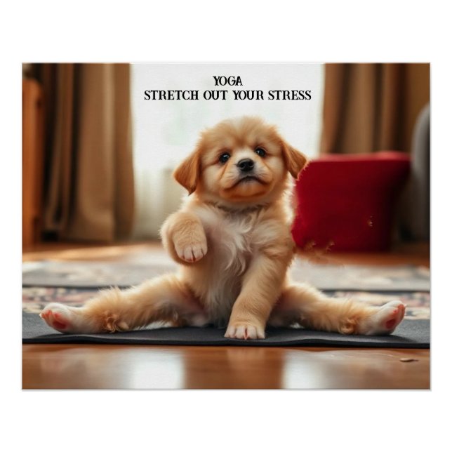 Pôster Cão Yoga (Frente)