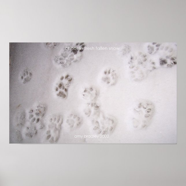 Poster caos na neve fresca e caída (Frente)