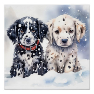 Pôster Cãozinho bonito