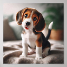 Cãozinho de beagle