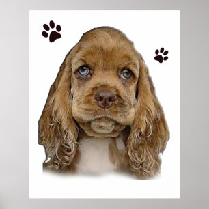 Poster Cãozinho de panela