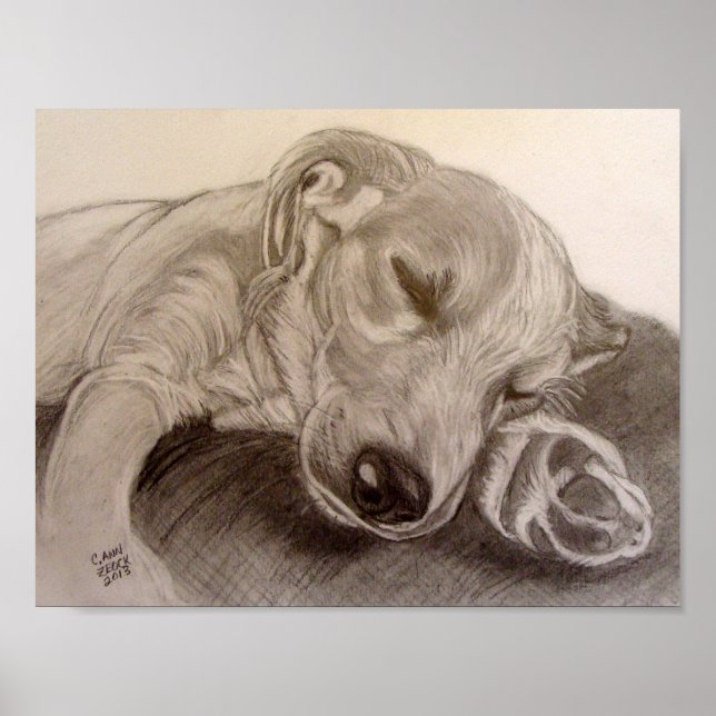 Pôster Cãozinho Dormindo (Frente)