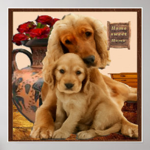 Poster Cãozinho Labrador