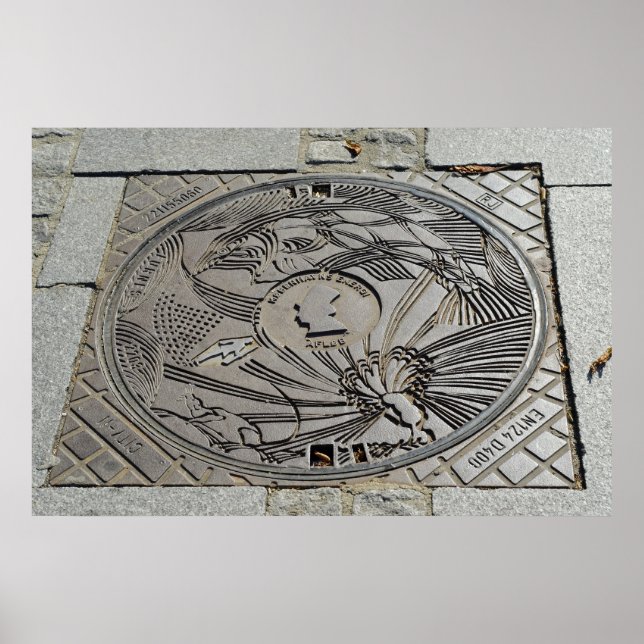 Poster Capa (Frente)