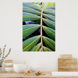 Poster capa de pamonha