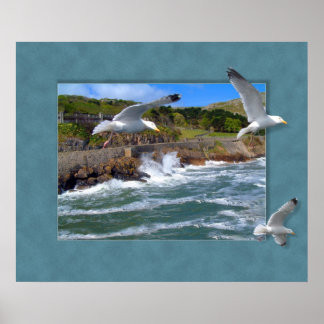 Poster Capa de Seagull