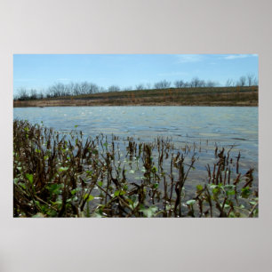 Pôster Capa pantanosa