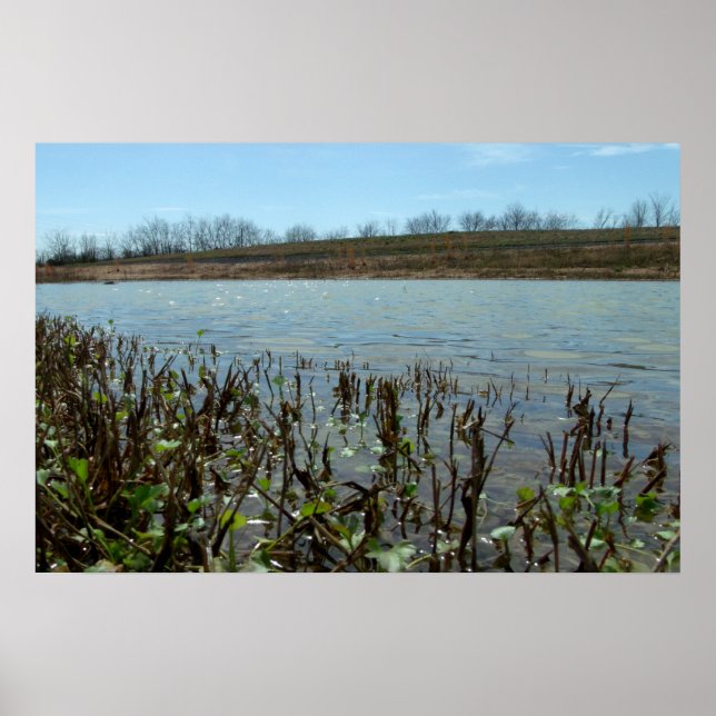 Pôster Capa pantanosa (Frente)