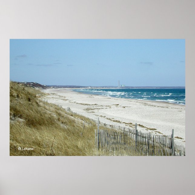 Poster Cape Cod Beach (Frente)