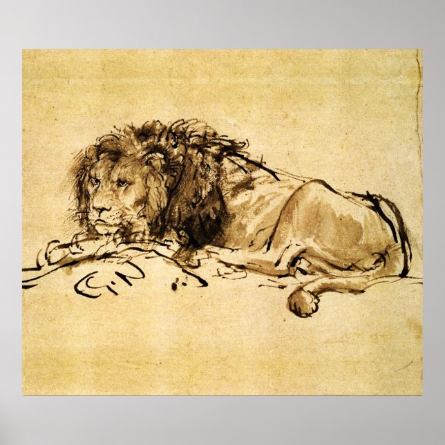 Poster CAPE LION LYING DOWN, por Rembrandt Sepia, Black (Frente)