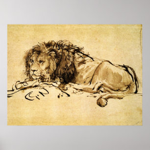 Poster CAPE LION LYING DOWN, por Rembrandt Sepia, Black
