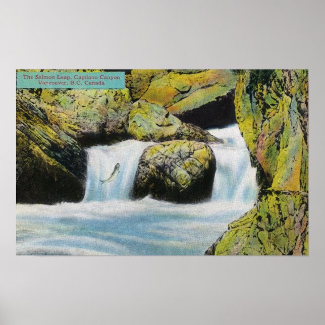 Poster Capilano Canyon View of Salmon Leapstream Upstream (Frente)