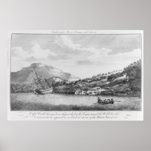 Poster Capitão Cook foi naufragado