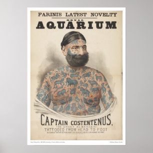 Pôster Capitão Costentenus: Tattooed da cabeça ao pé