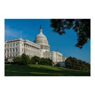 Pôster Capitol Building West View