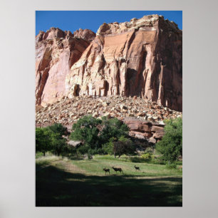 Poster Capitol Reef National Park