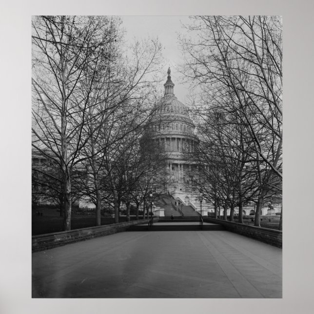 Poster Capitólio dos Estados Unidos (Frente)