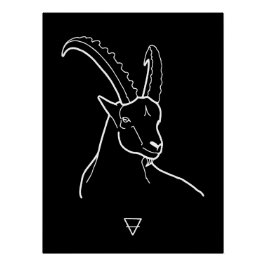 Pôster Capricorn