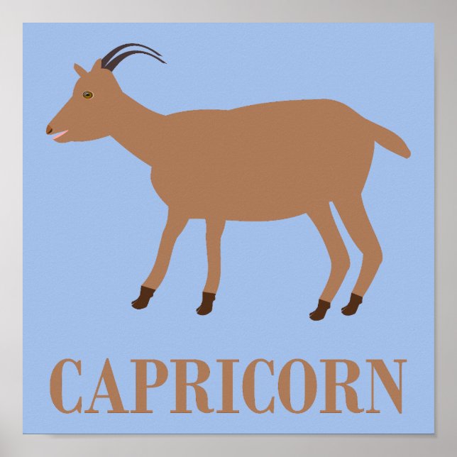 Poster Capricorn - Sinal de Estrela - Capa (Frente)