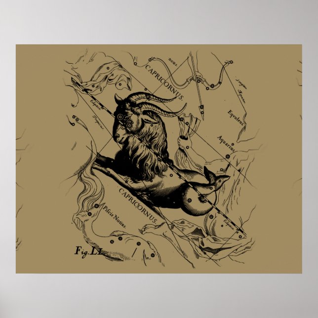 Pôster Capricórnio Constelação Hevelius 1690 em Taupe (Frente)