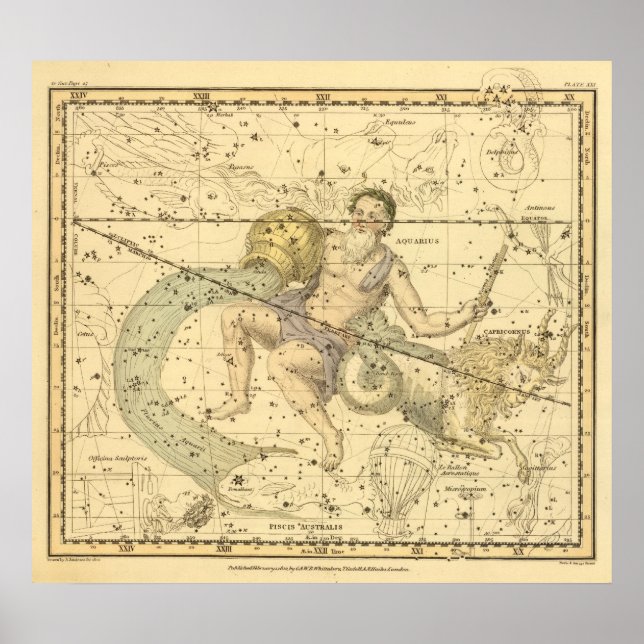 Pôster Capricornus e Aquarius (Frente)