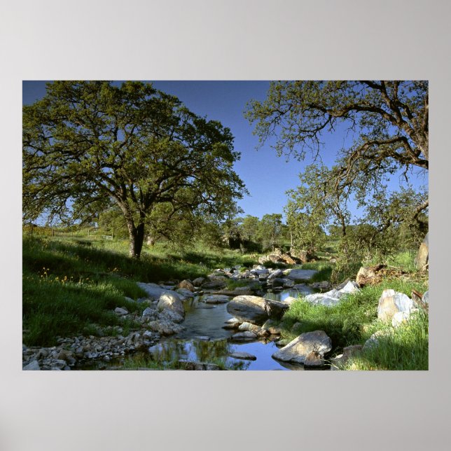 Pôster Captivação da Natureza (Frente)