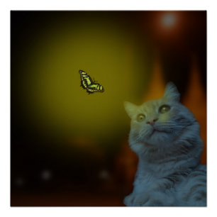 Pôster Captivado pela beleza: Gato mesmerizado pela borbo